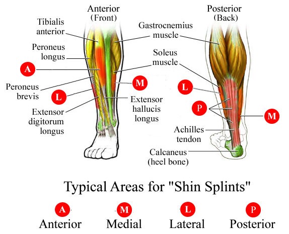 Shin Splints and Trigger Point Therapy | Personal Power Training