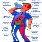 drinking water is very important here are a few facts about why you should drink water and when. drinkign water helps the body.